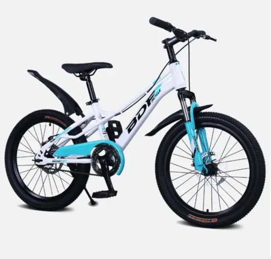 صورة دراجة BDF جبلي رياضية مقاس 22